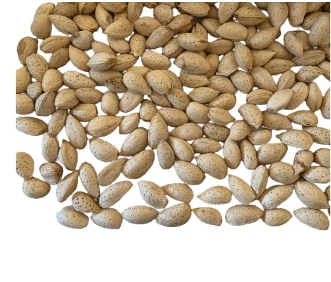 Натуральные необработанные миндальные орехи отличного качества