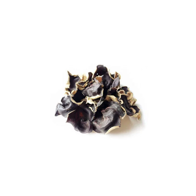DRIED BLACK FUNGUS with BEST PRICE