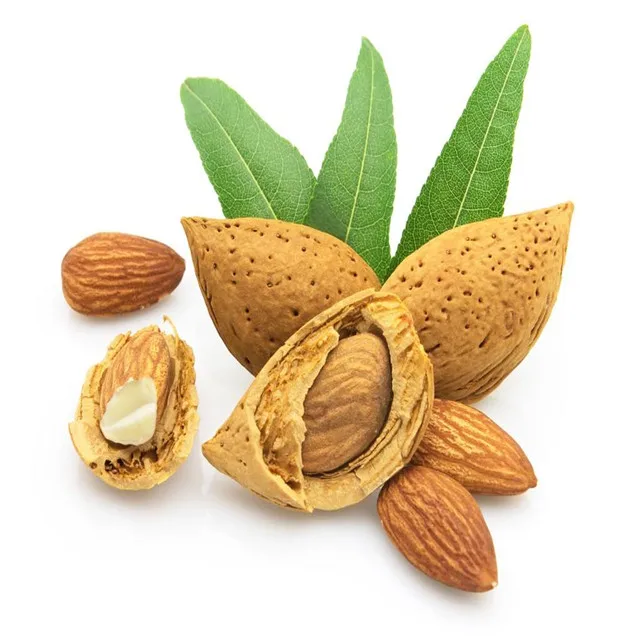  Поставка натуральной миндальной муки порошок оптом 100% натуральная миндальная мука