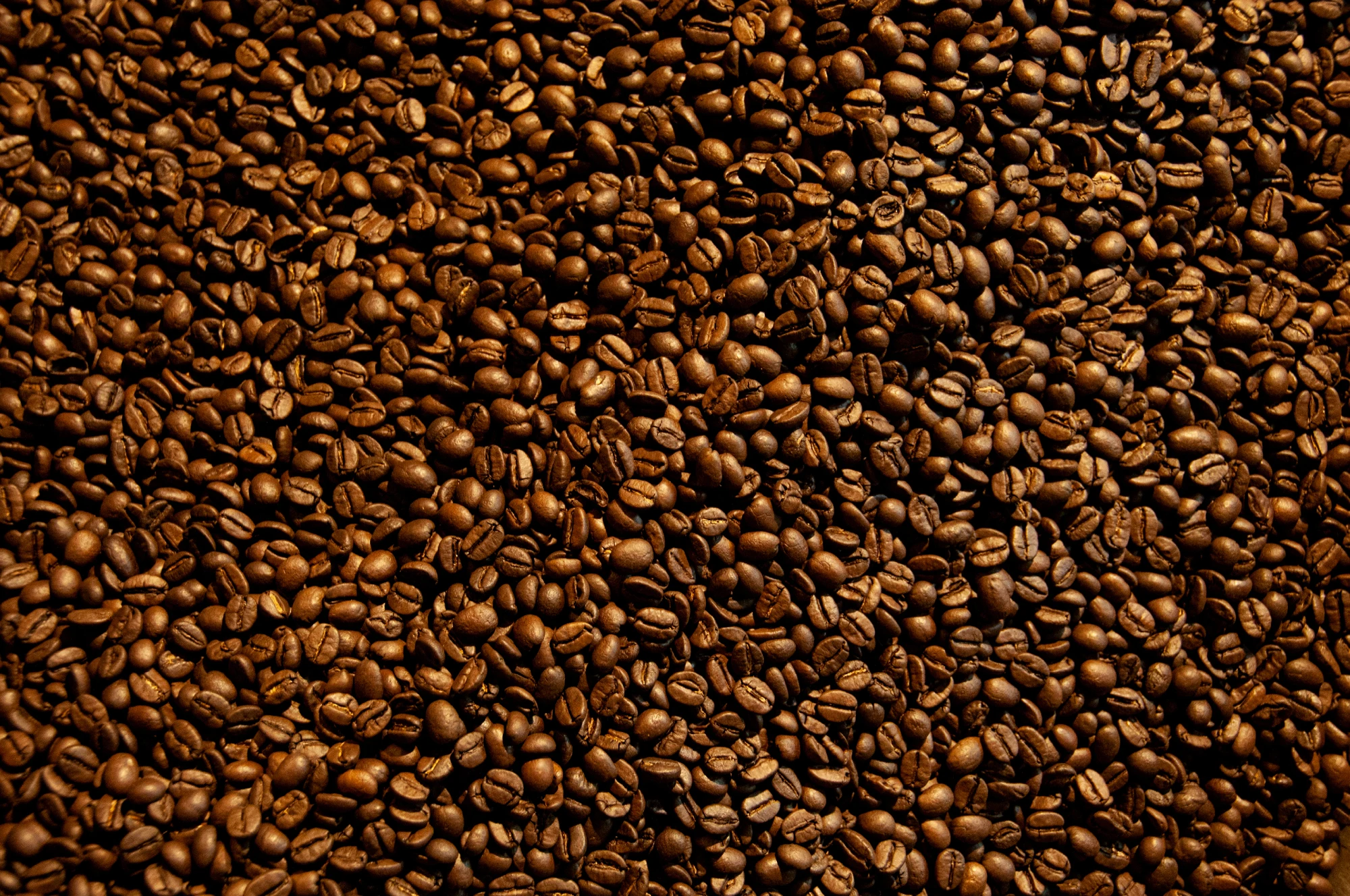 Strong flavour 250g roasted coffee beans bags and private label organic expresso roasting
