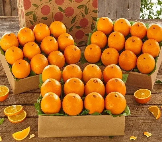 New Fresh Yellow Orange Natural Fresh Orange Fruit, Navel Orange