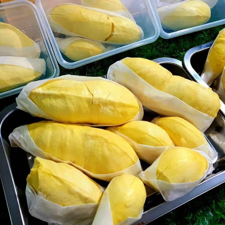 
Best seller Fresh durians Premium grade from Thailand By SP Organic International 