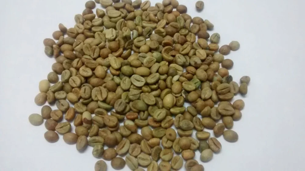 Best Price of Coffee Bean