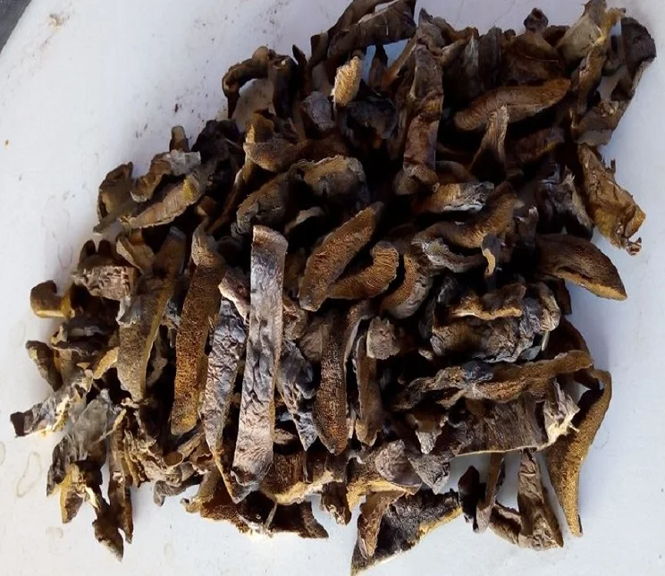 Boletus leteus mushroom I top quality dried mushroom