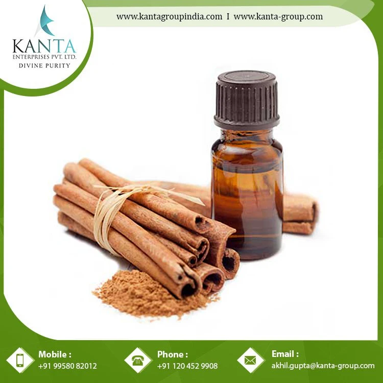 Best Remedy for Reduce Stress Cinnamon essential Oil from Indian Supplier
