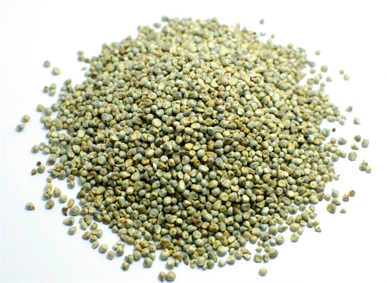 Low Price Good Quality Millet Wholesale Millet