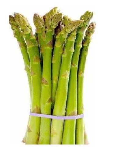 
Best Quality Fresh Asparagus for Sale 
