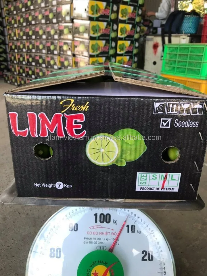 
Price 2020 for green lime export good quality 