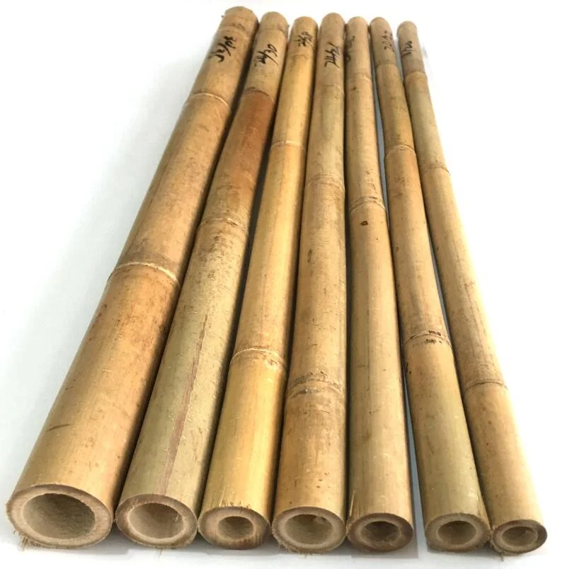  Натуральный Бамбуковый тростник Tonkin для поддержки или украшения растений по самой низкой цене/бамбуковые трости продажи/ротанговый бамбуковый