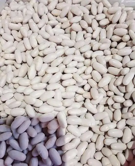 High quality Egyptian White Kidney Beans Wholesale