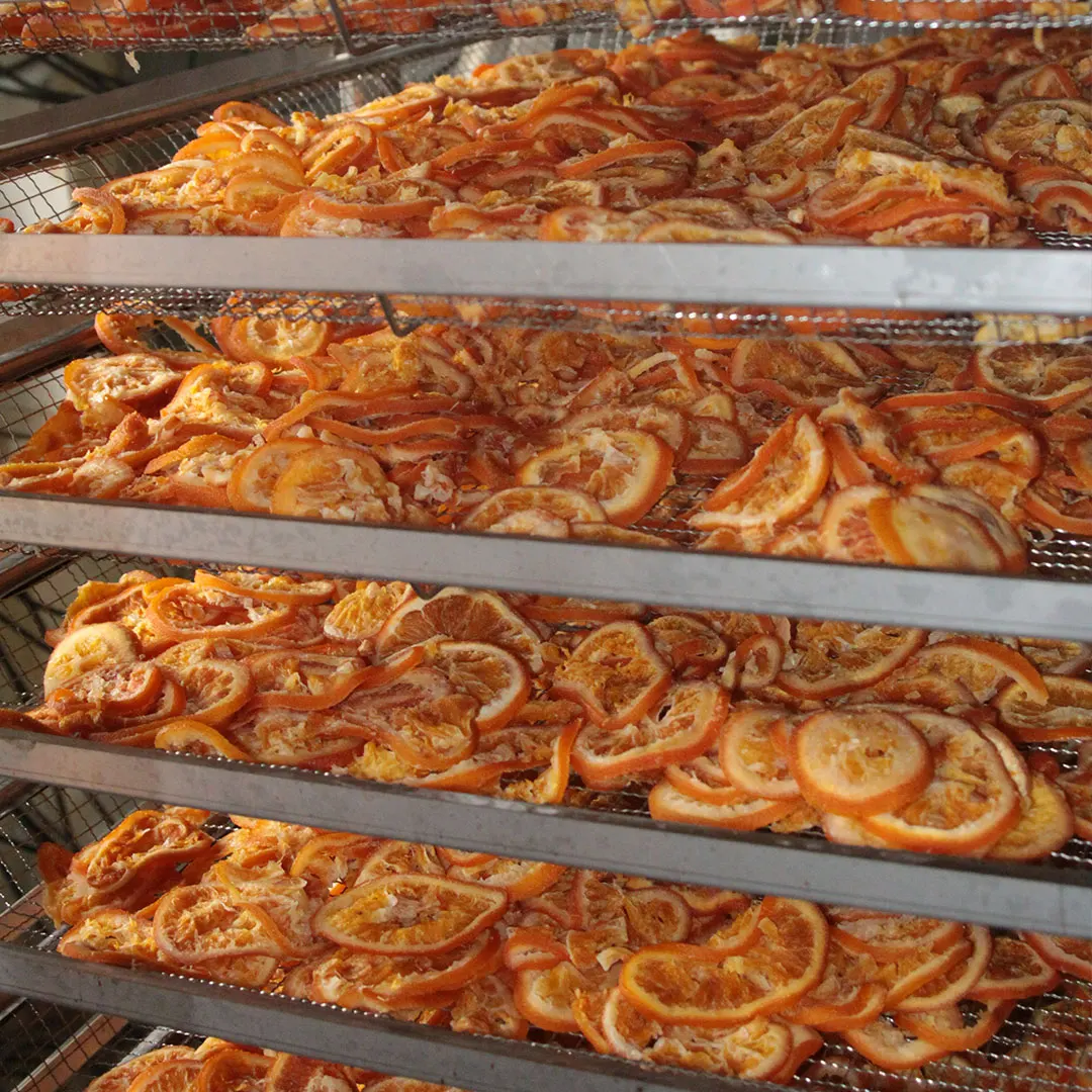 Soft Dried Navel Orange With Special Taste 100% Natural Best Price From Vietnam