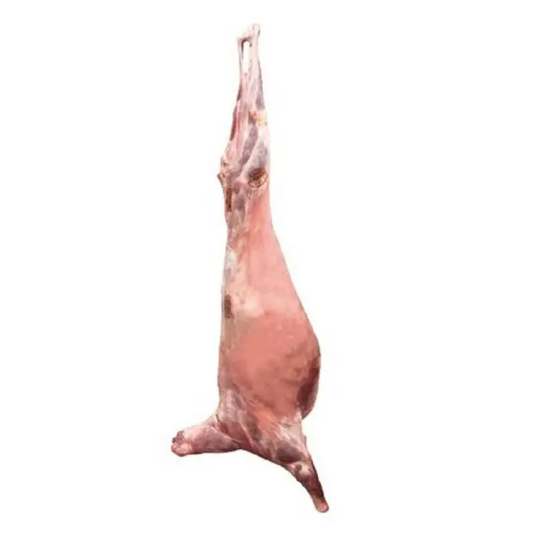 NATURE whole sale Organic 18-24kg fresh lamb meat mutton