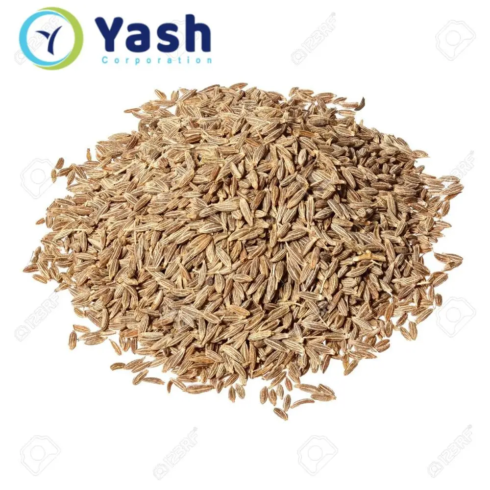 
cumin seeds 