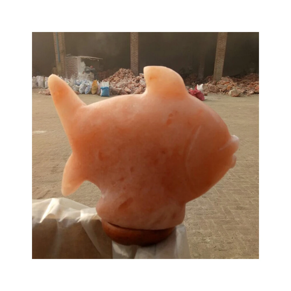 Himalayan Pink Animal-Shaped Fish Salt Lamp with Wood Base Carved Decoration by Impex Pakistan