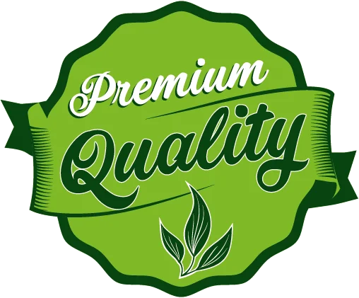 Premium Quality White Sunflower Seed Roasted and Extra Salted