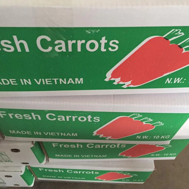Свежая морковь carrotfresh цена экспорт оптовая упаковка 4 5 кг нетто (тел./whatsapp/ viber: 0084 989 322 607)