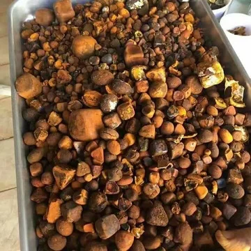 Quality Fine Cow/Cattle/Ox Gallstones