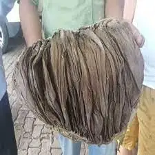 Dried High Grade Omasum Stock For Shipment