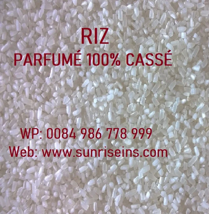 Рис Бланк 100% сцит (WP: 0084986778999 г-н Дэвид-Председатель)