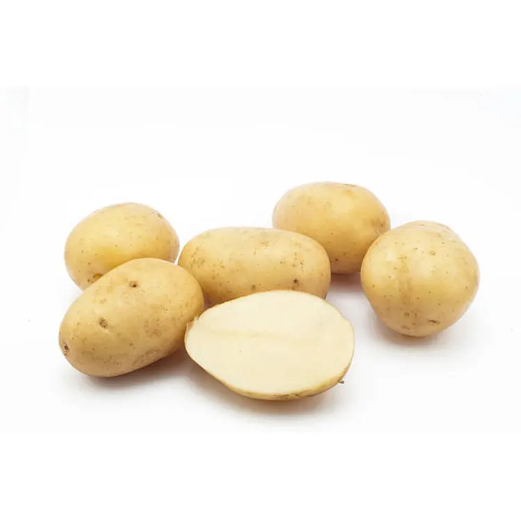 Hot Sale New Harvest 2022 Fresh Potato
