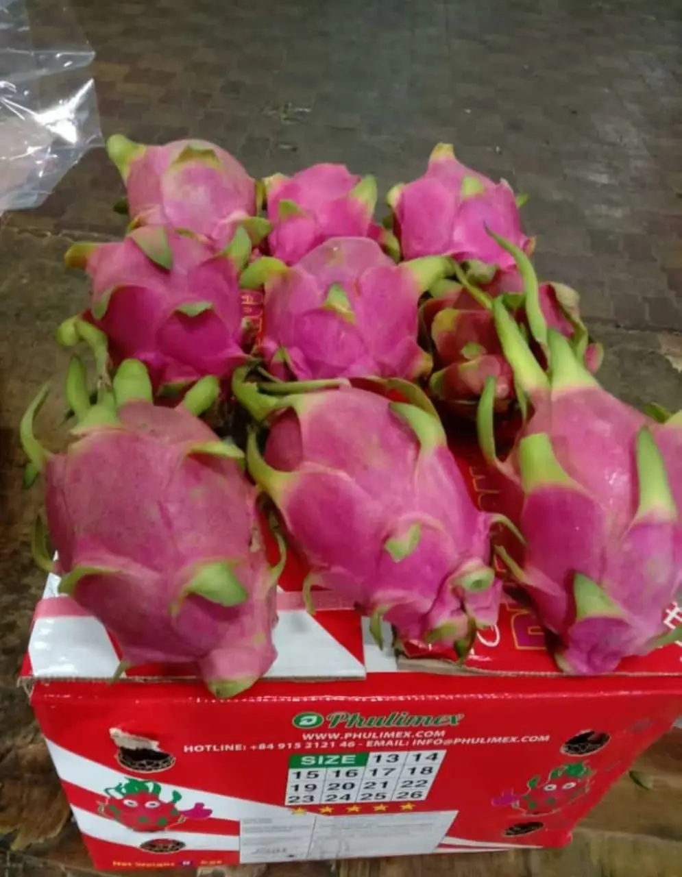 VIETNAM white Dragon fruit/ whatsapp +84966208131