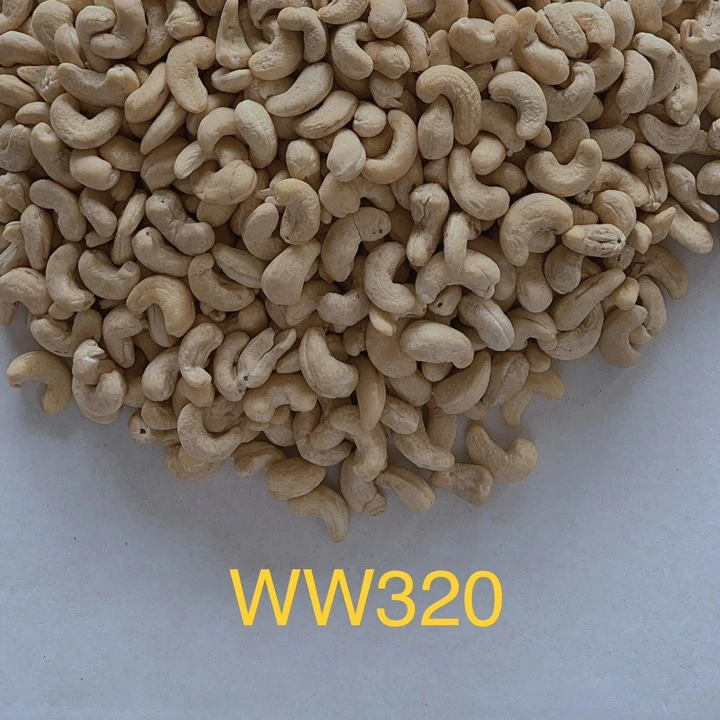 Cashew nuts ww320 hight quality