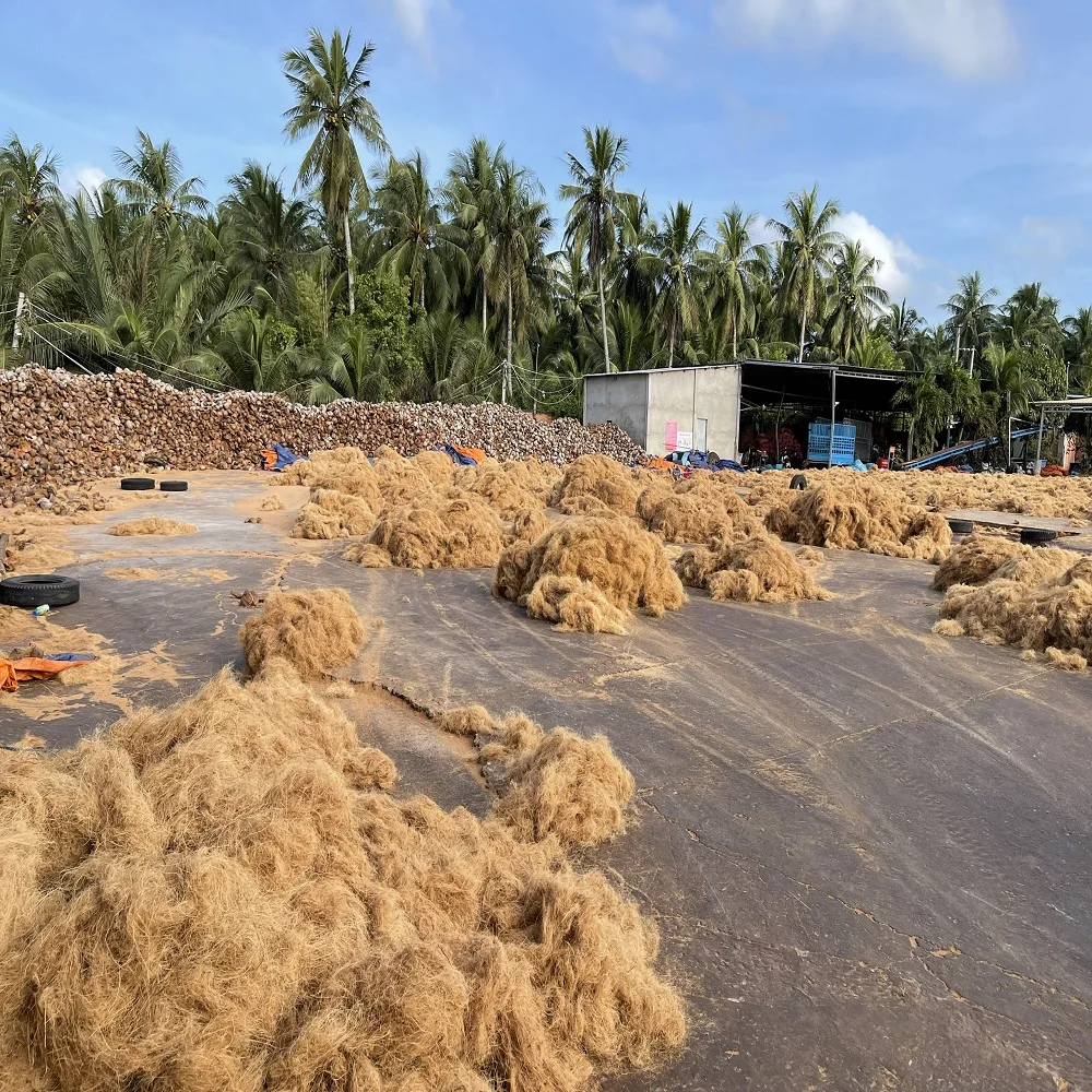 Coconut Fiber 100% Natural for mattress production Premium quality Brownish yellow made in Viet