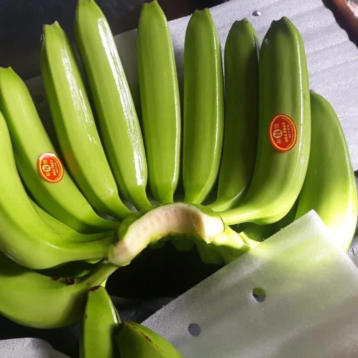 Свежие бананы pisang cavendish harvest во Вьетнаме 2021 для улучшения здоровья