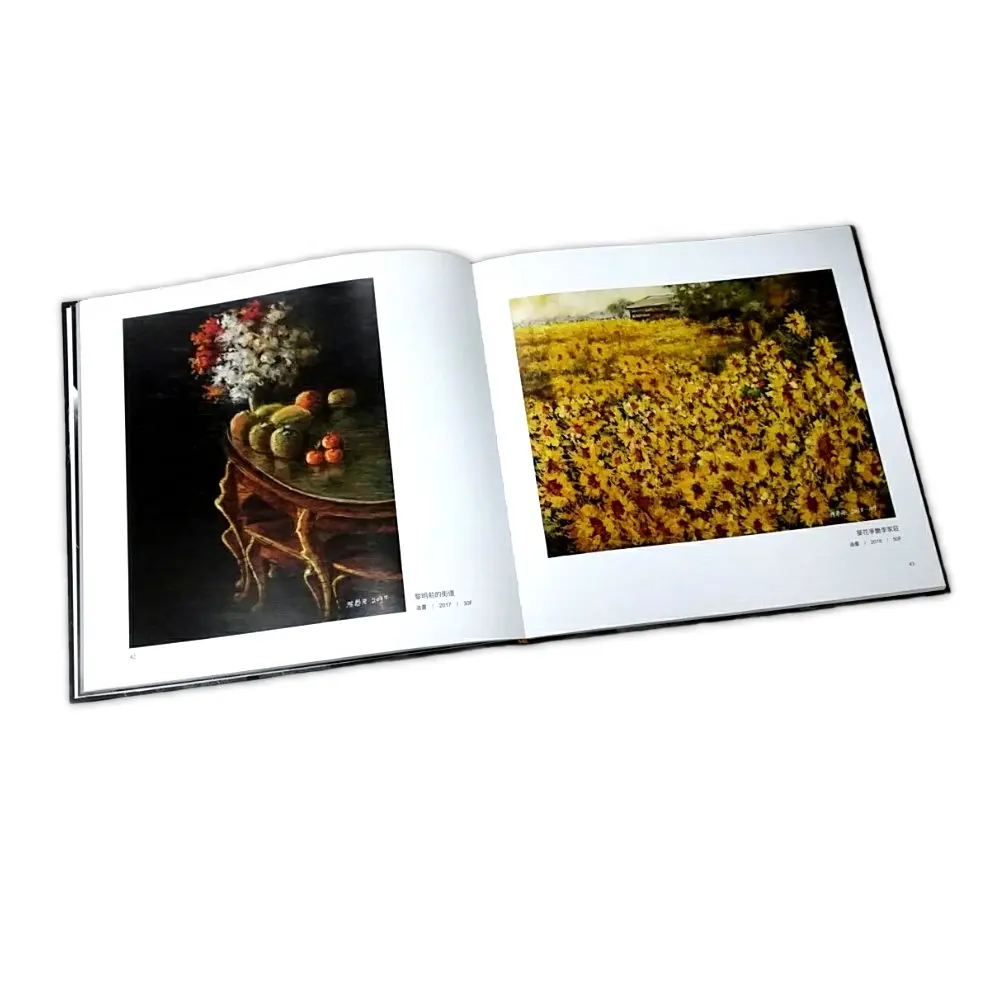 Профессиональное Портфолио из Тайваня Художественная печать книг