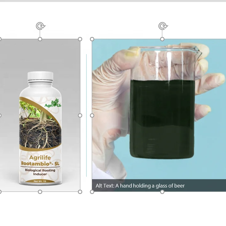 Органическое удобрение из природных водорослей для здоровья почвы средство роста урожая калия мощный корневой рост