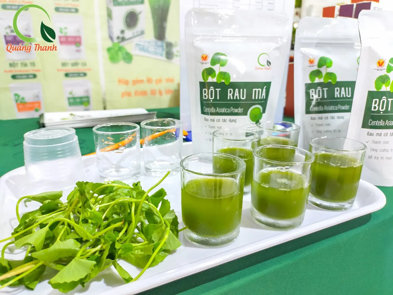 High Quality Cold Drying Gotu Kola Extract Powder Instant Healthy Drinks