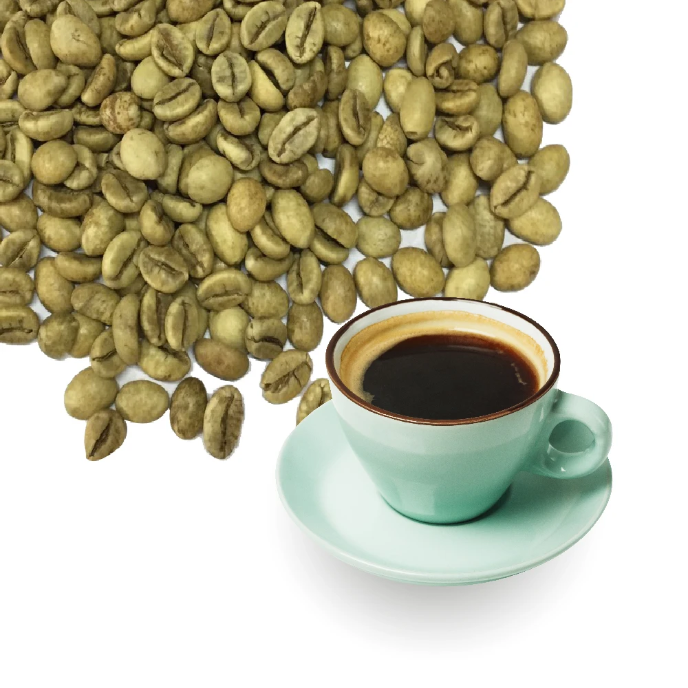 
Best Price Vietnam Green Coffee Bean (Robusta) in New Crop In 2020 From Hemera Coffee 