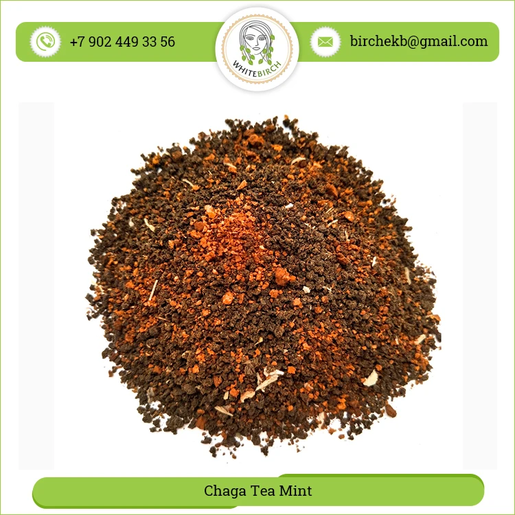 Огромный антиоксидант Chaga Tea Mint от лучшего поставщика