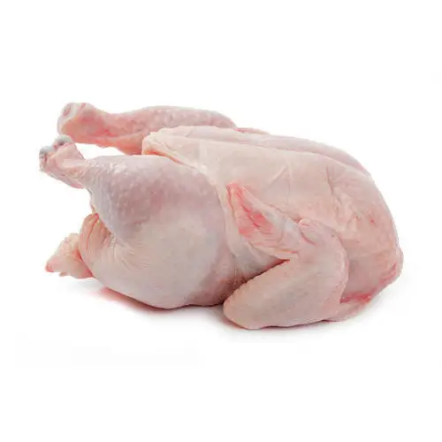 HALAL Frozen Whole Chicken From Brazil ready for export
