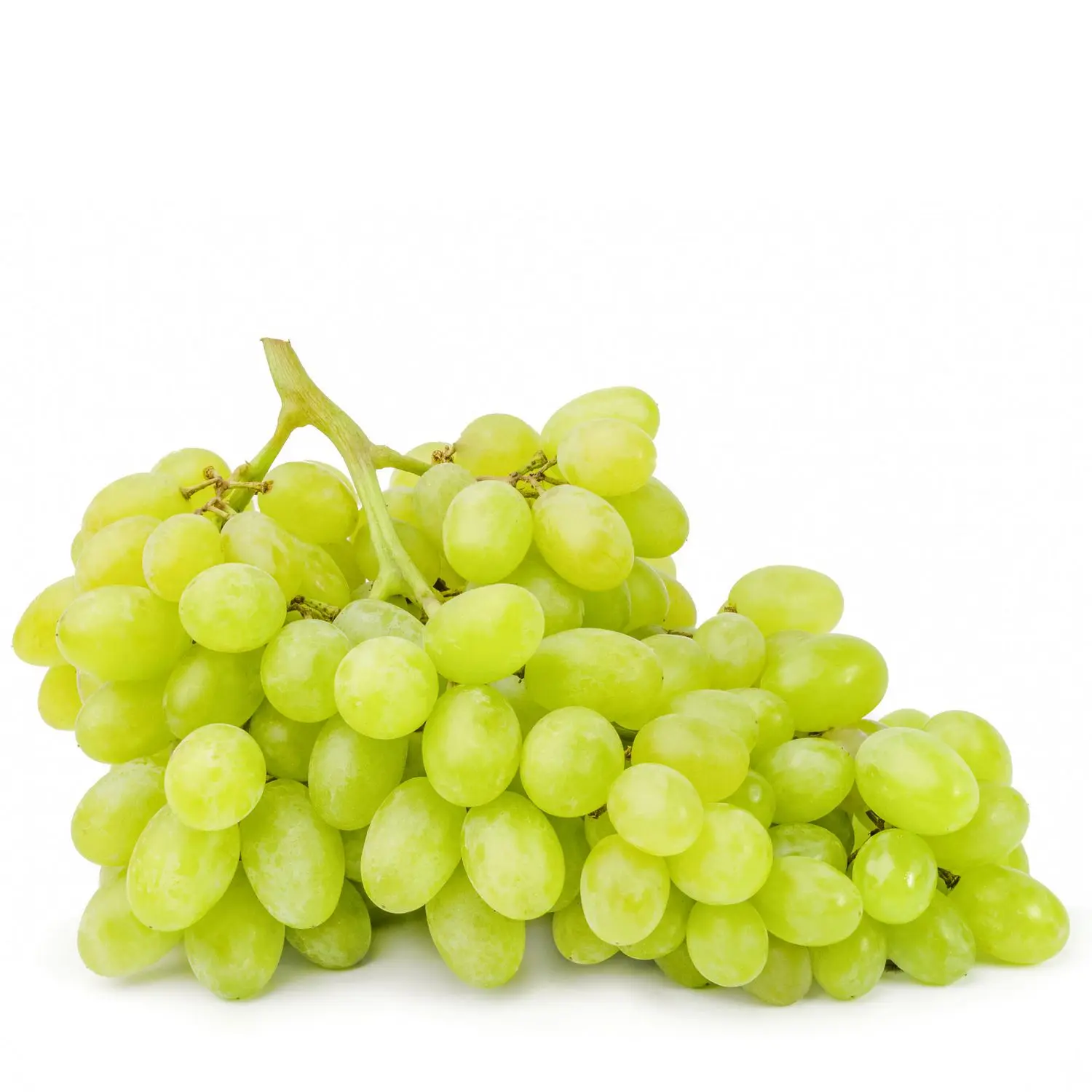 grape-seedless.jpg