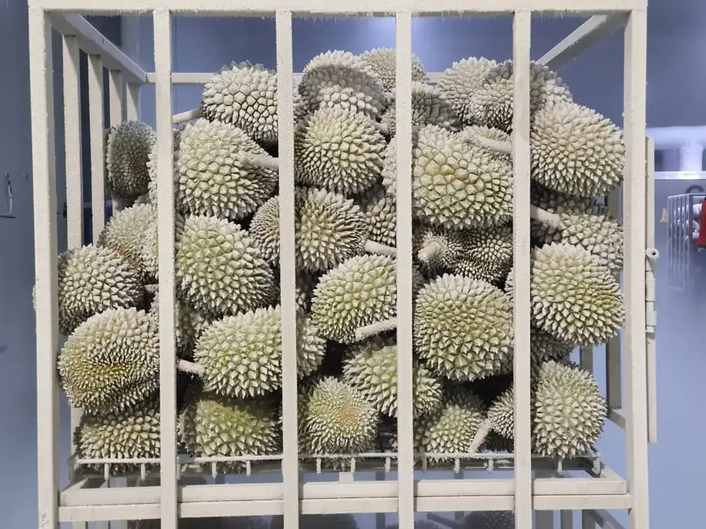 Durian Pulp Frozen Durian Fruit Pulp Halal Quality Malaysia 300g