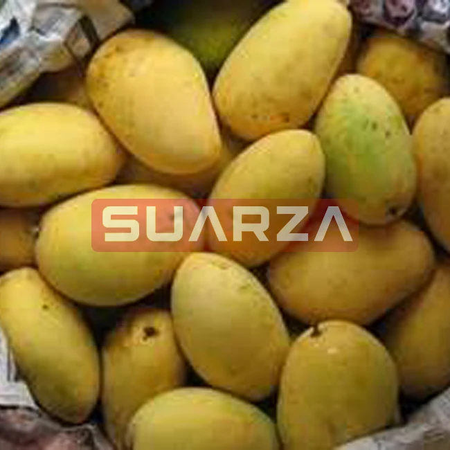 Fresh mango/Gold honey mango Namdokmai high quality topical mango exporter from Pakistan  to  all over the world