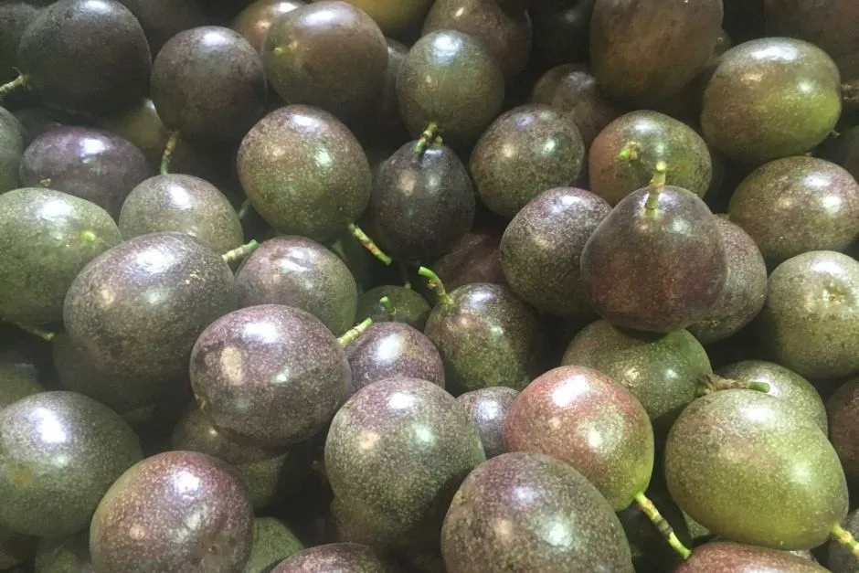 Passion fruit pulp - competitive price