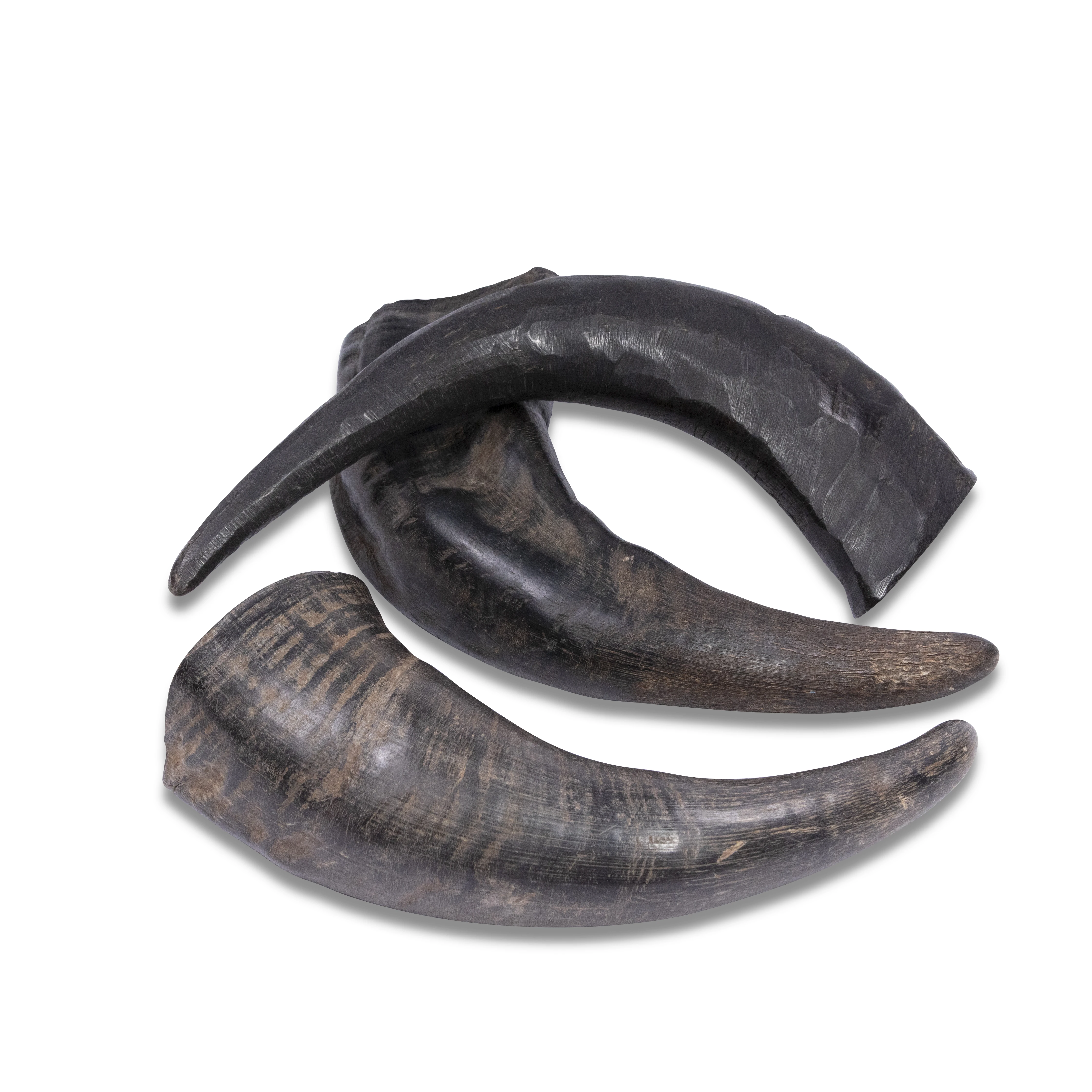 Hot selling water buffalo horn dog chew /premium quality horn chew in different sizes and weight