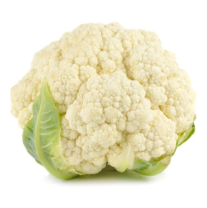 
Natural Quality Best Price Fresh Vegetables Cauliflower Available In Bulk 