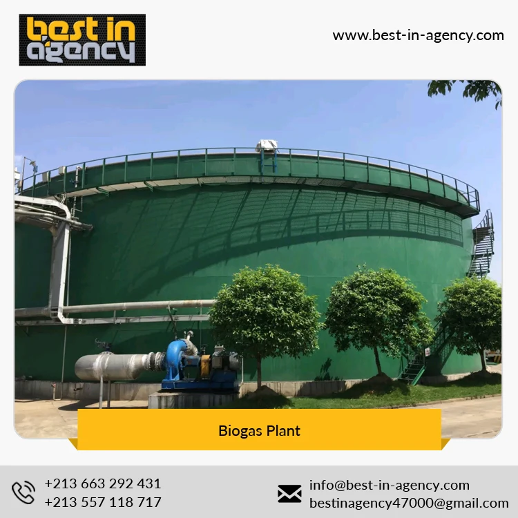 
20000 Nm3/Day Biogas Production Project with Cstr Anaerobic Digestion Tank Biogas Plant 
