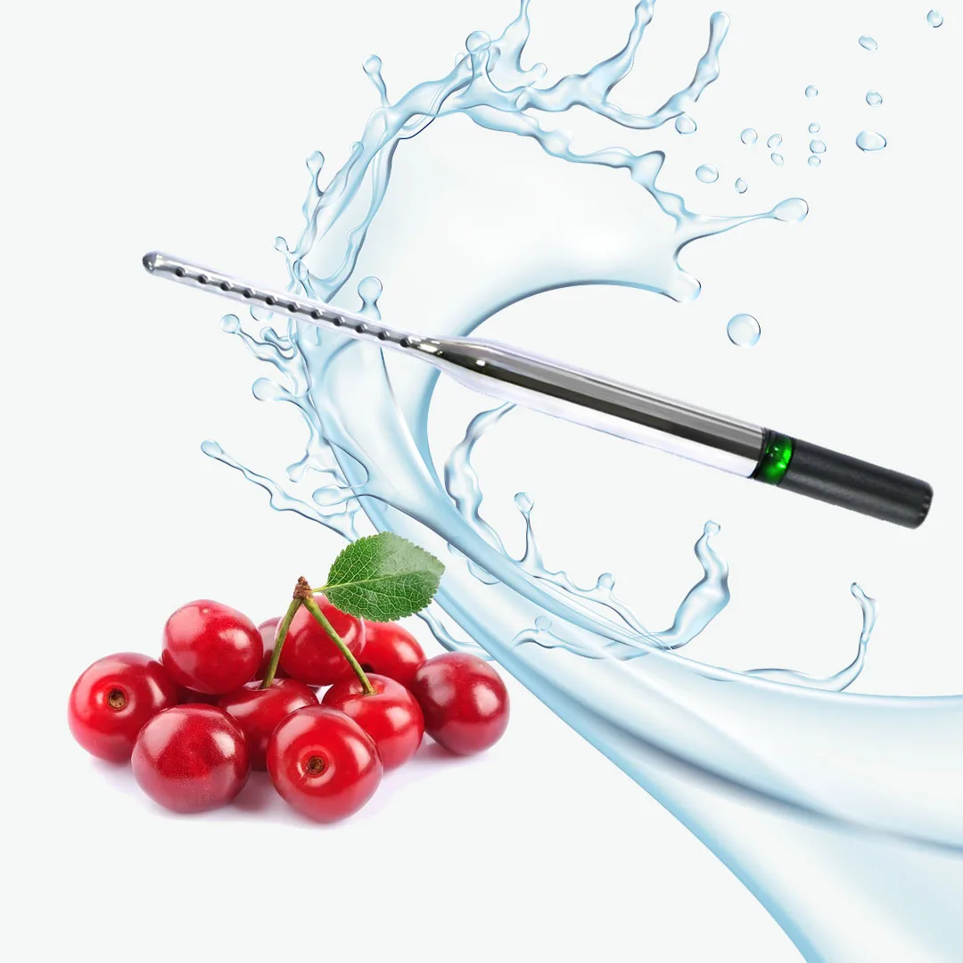 portable o3 generator M1-1