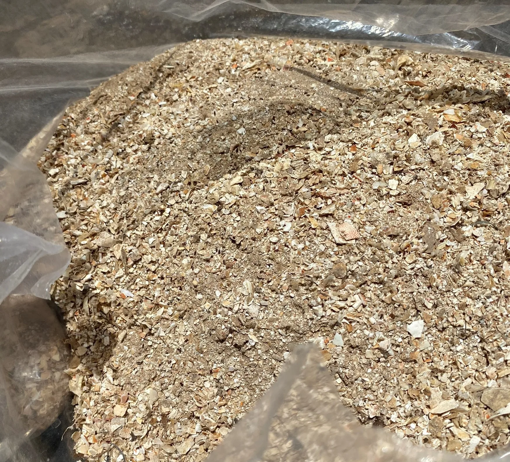 Shimp / Crab shelL POWDER SUPER SMOOTH OR SIZE for fertilizer from Vietnam