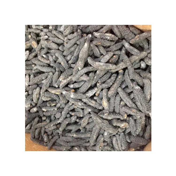 DRIED SEA CUCUMBERS 100% NATURAL AT WHOLESALE PRICE