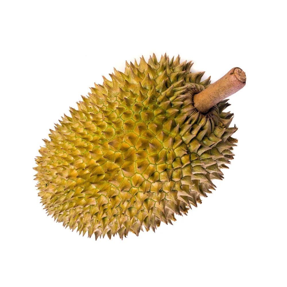 Thailand Monthong ACE Durian Tropical AAA OEM Style Weight Origin  Grade Product Fresh cut Fruit Place Model HACCP Accepted
