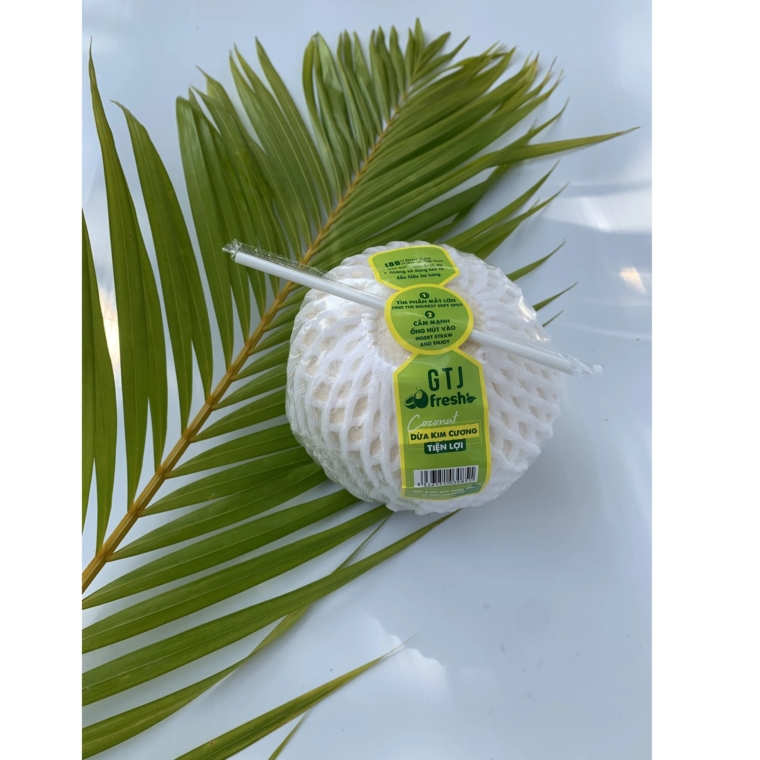 
100% fresh coconut from Mekong Delta Convenient Diamond Cut Shape Coconut exporter from Vietnam 