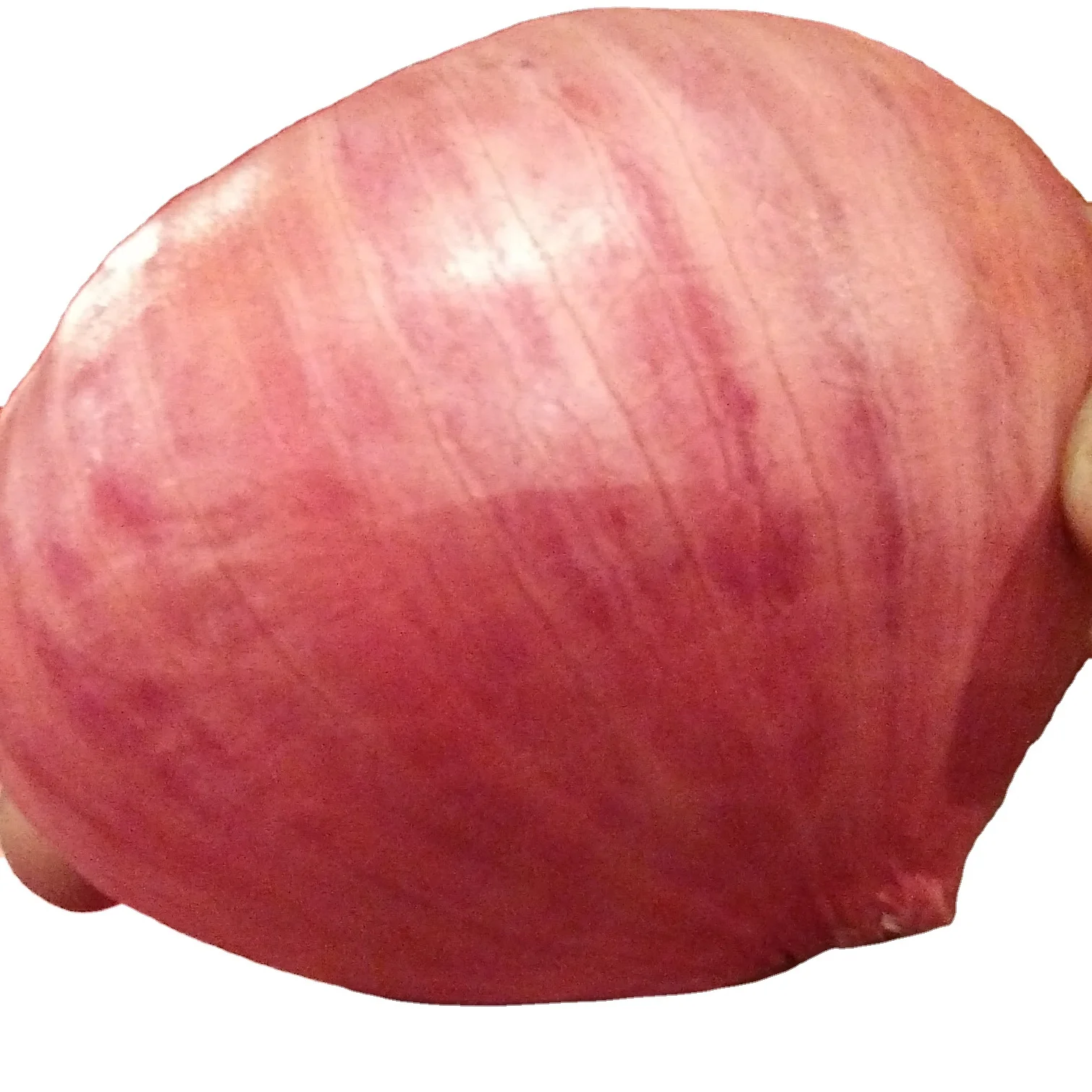 Fresh Big Onion wholesale price In India