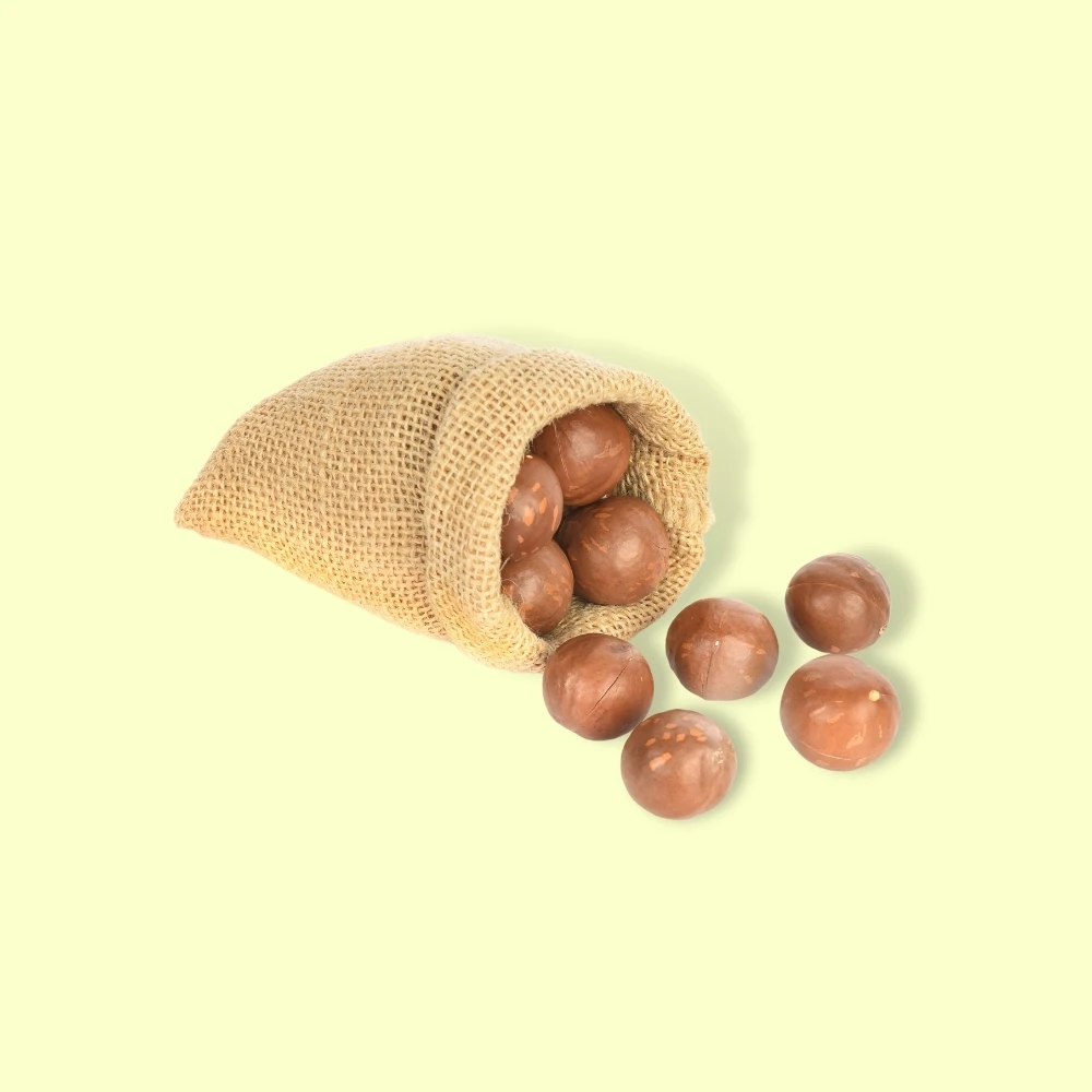 Вьетнамские экспортные товары коробка для орехов Сушеные Орехи macca пакет закусок орехи макадамии сырые