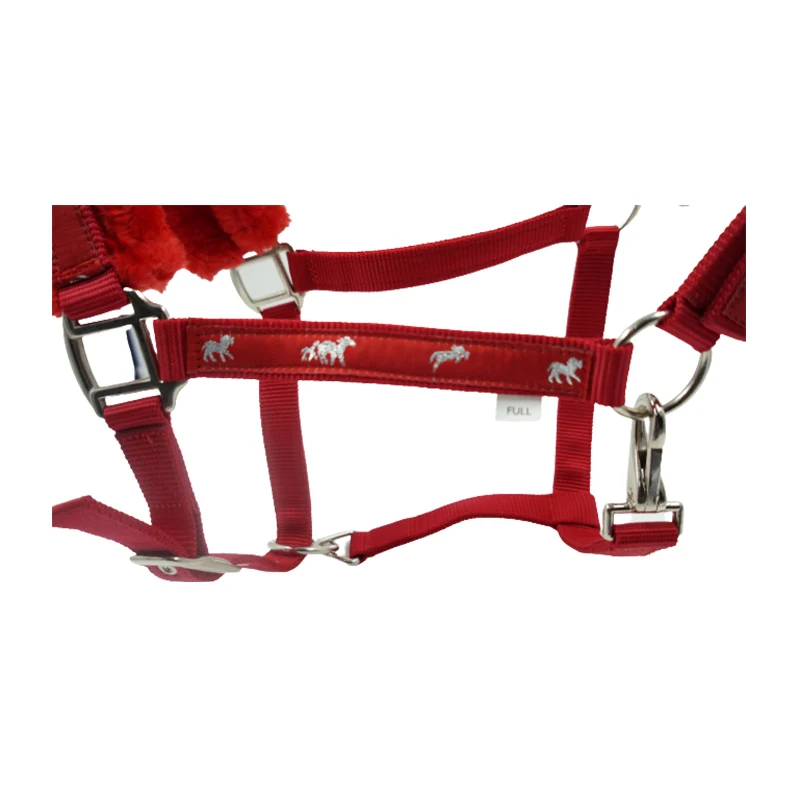 Top Seller High Quality PP Horse Halters Bulk Manufacturer Supplier Buy At Low Price