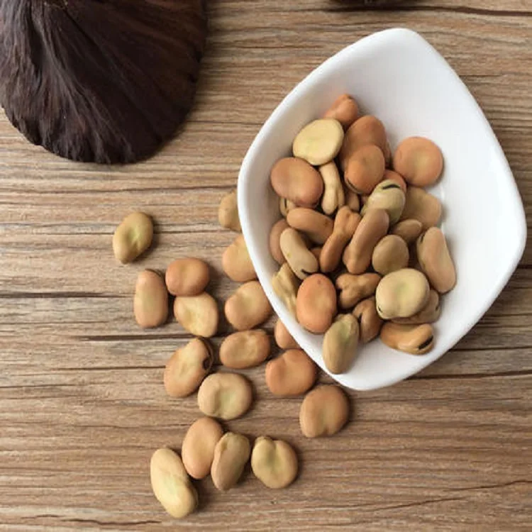 
Dried Broad Beans Fava Beans 